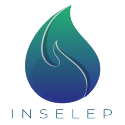 INSELEP Logo
